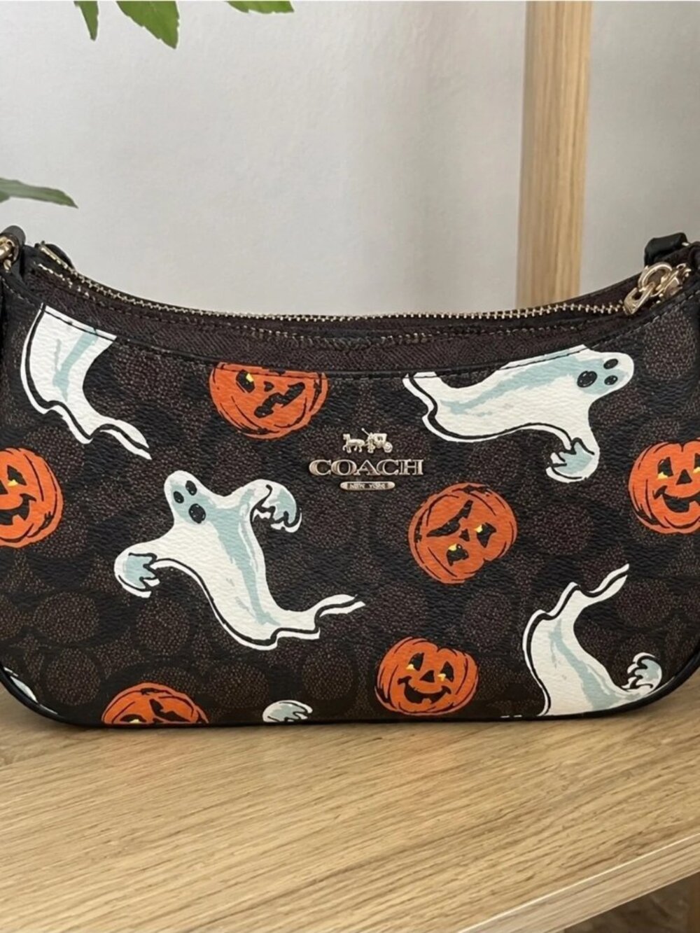 Coach Teri Shoulder Bag in Signature Canvas with Spooky Halloween Print